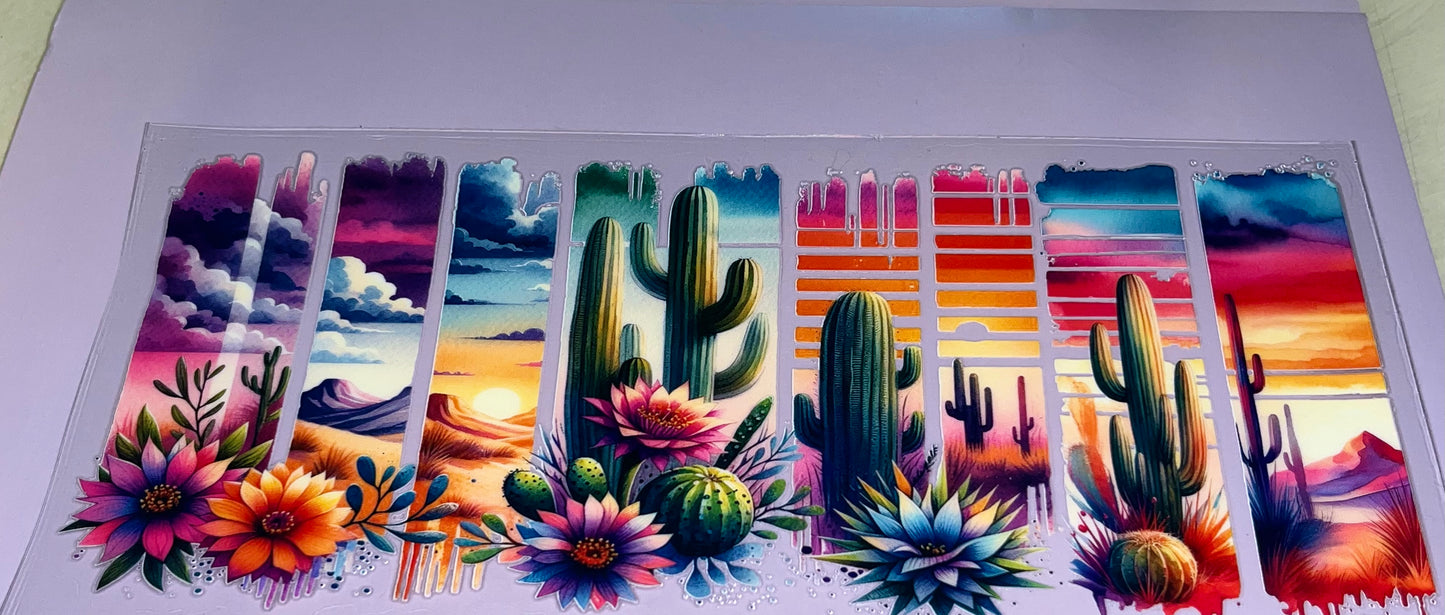 Cactus Sunset